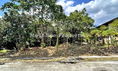 Ayala Westgrove Heights (Lot for Sale)