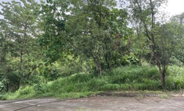 Residential Plot for sale in Rizal, Antipolo City