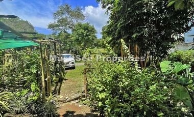 Ayala Westgrove Heights Lot for Sale 325 sqm