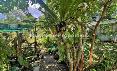 Ayala Westgrove Heights Lot for Sale 325 sqm