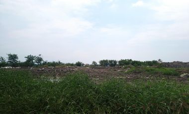 Kawit Cavite For Rent Lease near CAVITEX 1.5 hectares Lot ideal Truck Parking