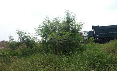 Kawit Cavite For Rent Lease near CAVITEX 1.5 hectares Lot ideal Truck Parking
