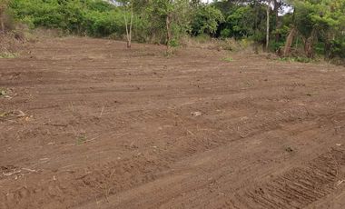 Titled subdivided residential/farm lot