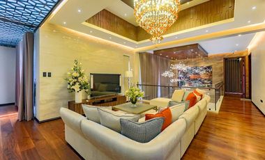 New Modern & Luxurious House and Lot for Sale in Parañaque City