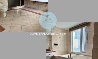 Forbes Tower 4 bedroom penthouse with 2 parking!