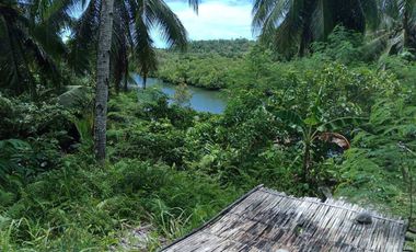 Farm Lot for Sale in Siargao Island, Surigao in Tawin-Tawin, General Luna