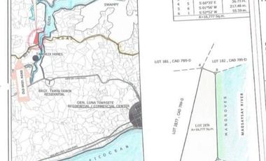 Farm Lot for Sale in Siargao Island, Surigao in Tawin-Tawin, General Luna