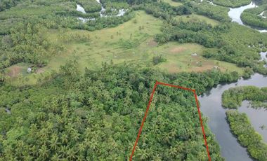 Farm Lot for Sale in Siargao Island, Surigao in Tawin-Tawin, General Luna