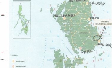 Farm Lot for Sale in Siargao Island, Surigao in Tawin-Tawin, General Luna