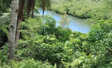 Farm Lot for Sale in Siargao Island, Surigao in Tawin-Tawin, General Luna