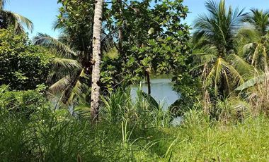 Farm Lot for Sale in Siargao Island, Surigao in Tawin-Tawin, General Luna