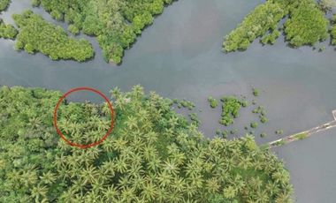 Farm Lot for Sale in Siargao Island, Surigao in Tawin-Tawin, General Luna