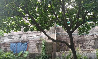 For Sale and Lease: Residential Property Ideal for Development in Quezon City