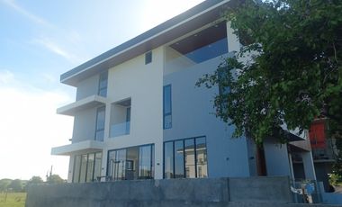 House and lot for sale Alabang West Brand new 5 bedroom Las Piñas house for sale