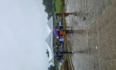 Lot for sale in Mendez Cavite near tagaytay city Titled! free transfer