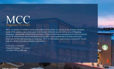 MCC Lot For Lease along Magalang Concepcion Road in Pampanga