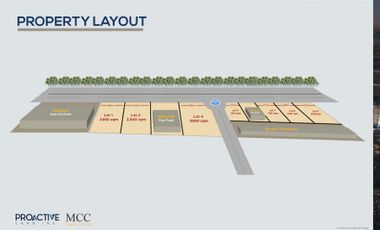 Commercial Lot for Lease along Magalang Concepcion Road, Pampanga - Very PRIME