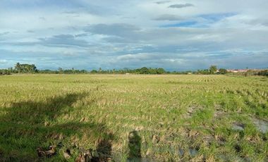 For Sale: 2.7 Has. Commervial Lot in Gapan, Nueva Ecija