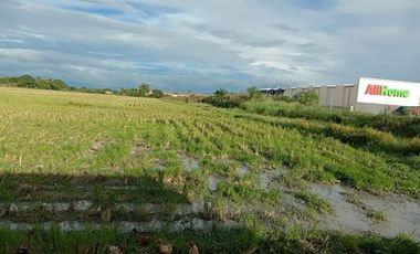 For Sale: 2.7 Has. Commervial Lot in Gapan, Nueva Ecija
