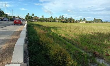 For Sale: 2.7 Has. Commervial Lot in Gapan, Nueva Ecija