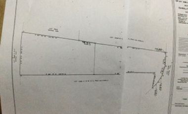 For Sale: 2.7 Has. Commervial Lot in Gapan, Nueva Ecija