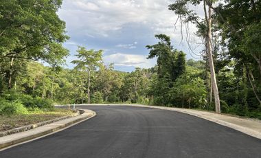 FAIRMOUNT HILLS 863sqm VACANT LOT FOR SALE