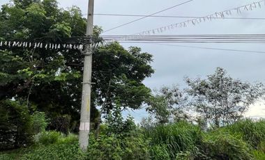 1 Hectare Lot for Sale!