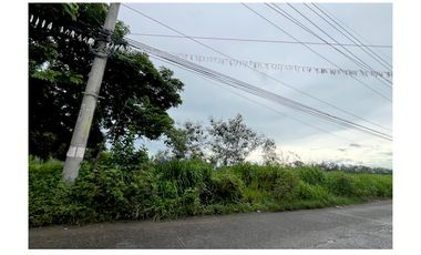 1 Hectare Lot for Sale!