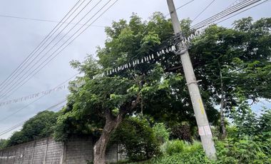 1 Hectare Lot for Sale!