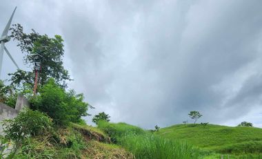 RUSH! 4 Pililia Rizal lots FOR SALE