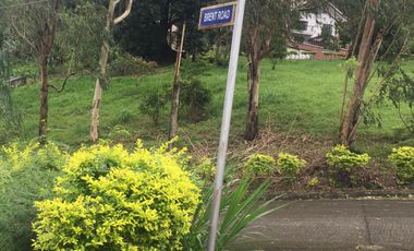 Vacant Lot For Sale in Monte Vista, Monte Vista, Tagaytay City