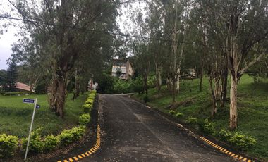 Vacant Lot For Sale in Monte Vista, Monte Vista, Tagaytay City