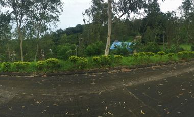 Vacant Lot For Sale in Monte Vista, Monte Vista, Tagaytay City