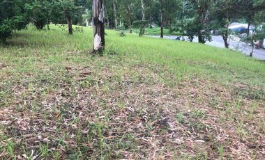Vacant Lot For Sale in Monte Vista, Monte Vista, Tagaytay City