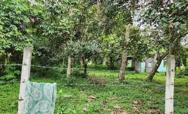 Price reduced for quick sale! Large 5,000 sqm lot with a house & pool