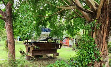 Price reduced for quick sale! Large 5,000 sqm lot with a house & pool