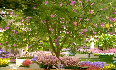 PRE-SELL 64 sqm 2 BEDROOM W/ BALCONY | SONRISA GARDENS CONDO - PUERTO PRINCESA CITY,  PALAWAN