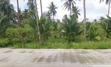 Siargao 1.5 Hectare land for sale at Brgy. Malinao, General Luna