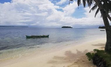 Siargao 1.5 Hectare land for sale at Brgy. Malinao, General Luna