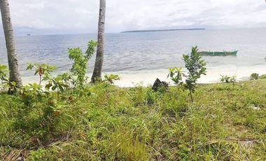 Siargao 1.5 Hectare land for sale at Brgy. Malinao, General Luna