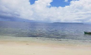 Siargao 1.5 Hectare land for sale at Brgy. Malinao, General Luna