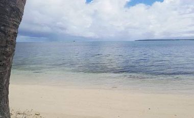 Siargao 1.5 Hectare land for sale at Brgy. Malinao, General Luna