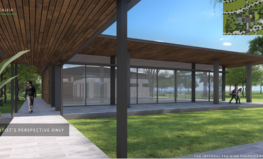 Pre Selling Ayala land Residential lot in Vermosa By Alveo Land - CALEIA