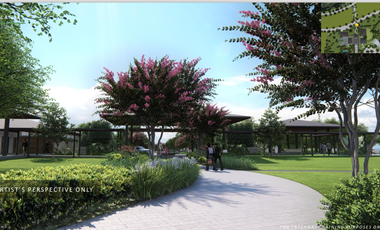 Pre Selling Ayala land Residential lot in Vermosa By Alveo Land - CALEIA