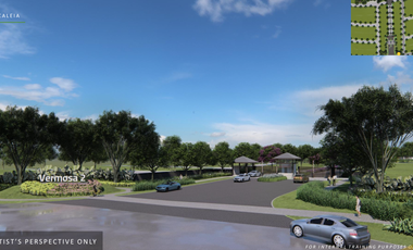 Pre Selling Ayala land Residential lot in Vermosa By Alveo Land - CALEIA