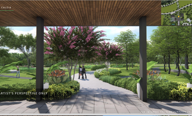 Pre Selling Ayala land Residential lot in Vermosa By Alveo Land - CALEIA