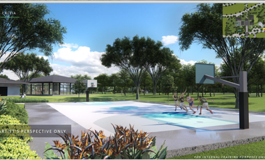 Pre Selling Ayala land Residential lot in Vermosa By Alveo Land - CALEIA