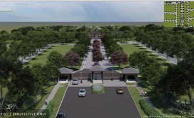 Pre Selling Ayala land Residential lot in Vermosa By Alveo Land - CALEIA