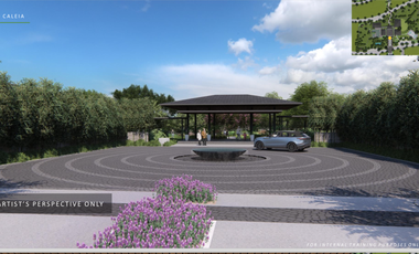 Pre Selling Ayala land Residential lot in Vermosa By Alveo Land - CALEIA