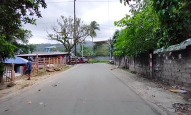 5 bedrooms House and Lot with Swimming pool for sale in Los Banos